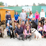 Adiestrar Perros Barcelona