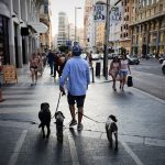 Dog & Life