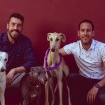 Educadores Caninos Valencia - Walking Dogs
