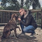 Caninos Un Problema Común en la Salud