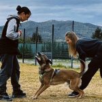 Escuela Canina de Adiestramiento K9 Málaga