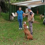 Working Dogs Colombia SAS/ Adiestramiento para Perros en Cundinamarca