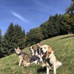 Promenades de chiens - Animal's KeeperZ
